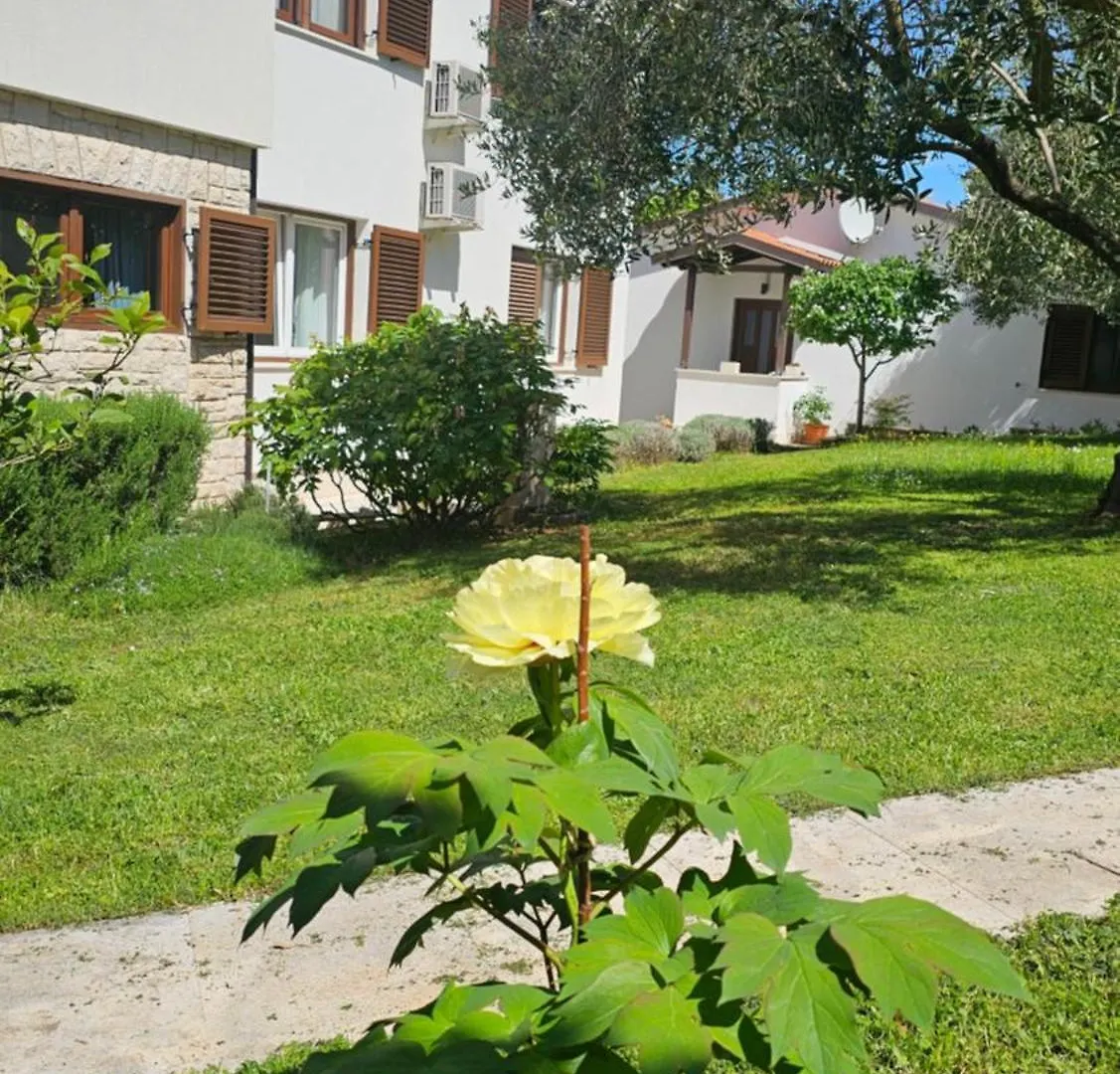 Apartments Dina Πούλα